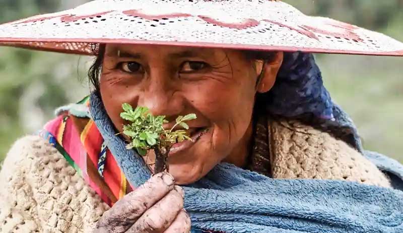 Mujeres kewiña: indígenas quechua restauran bosques andinos para proteger el agua de Bolivia